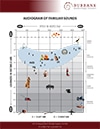 audiogram-thumb