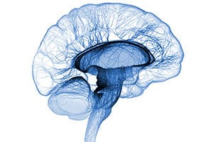 Burbank Audiology Center - Brain Shrinkage Comorbidities